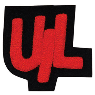 Club/Organization (Word)
