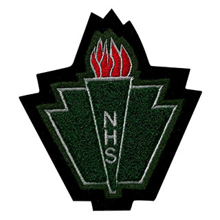 NHS Shield w/ Torch