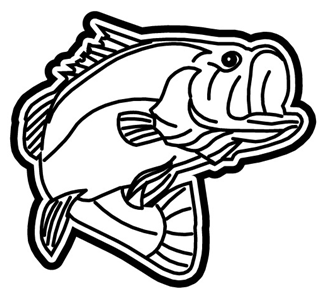 Bass Fish