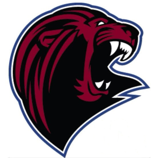 Lion Mascot