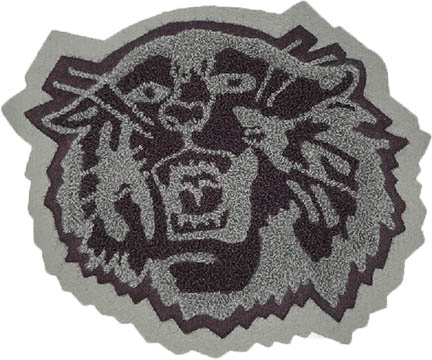Tiger Mascot