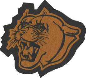 Panther Mascot
