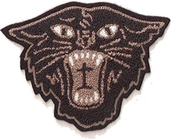 Panther Mascot