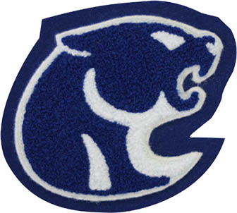 Cougar Mascot