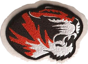 Tiger Mascot