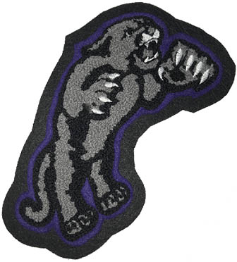 Cougar Mascot