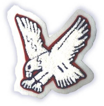 Hawk Mascot