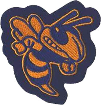 Hornet Mascot