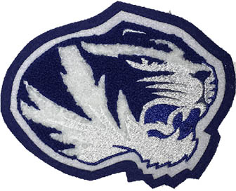 Tiger Mascot