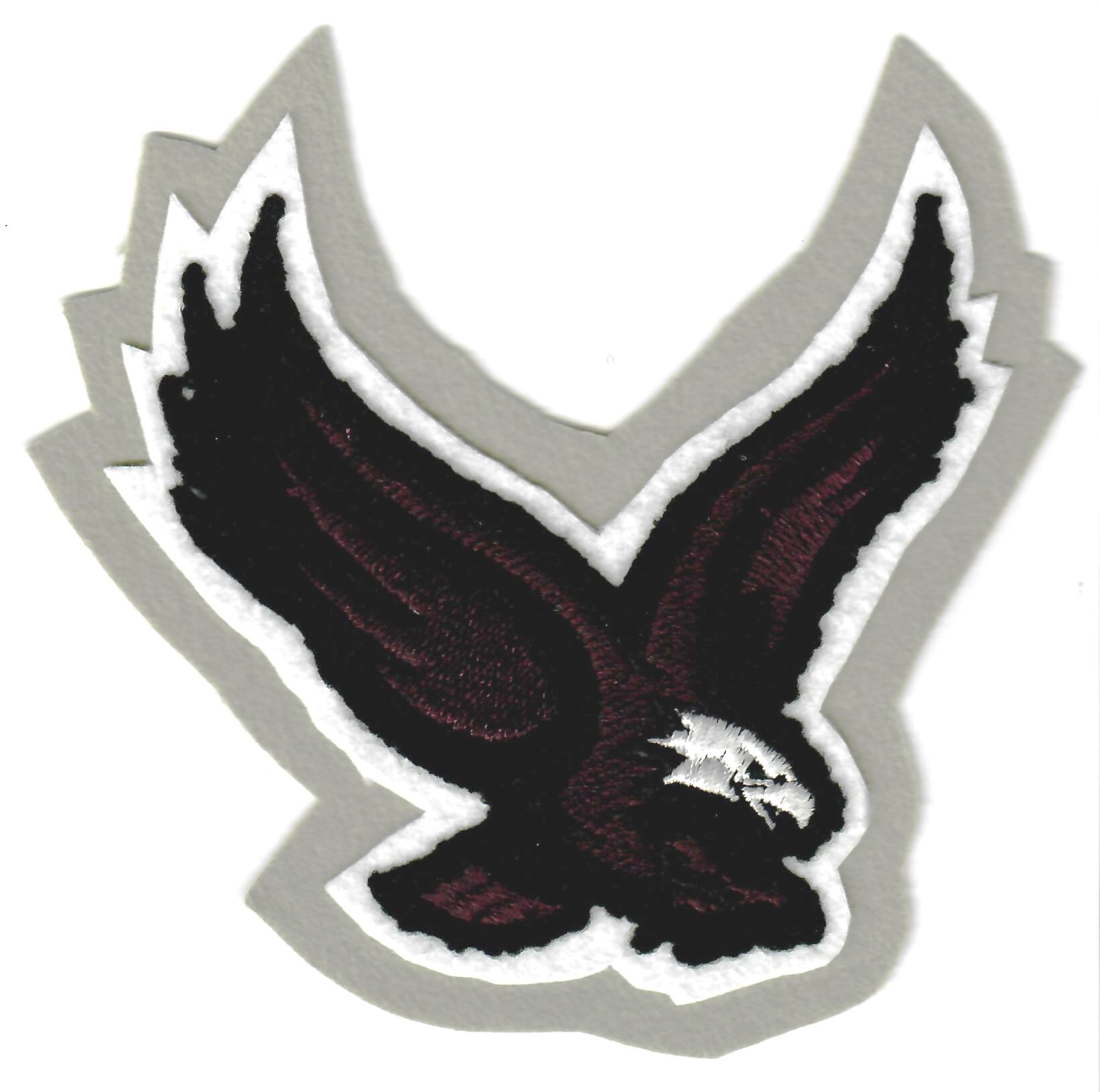 Eagle Mascot