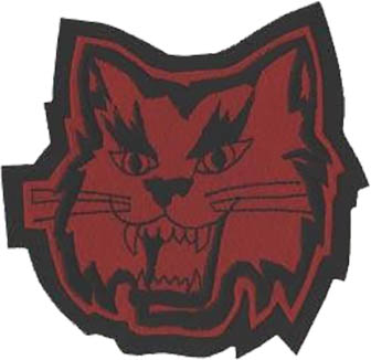 Wildcat Mascot