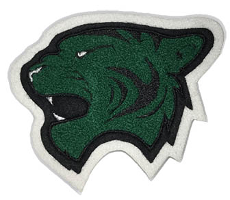 Tiger Mascot