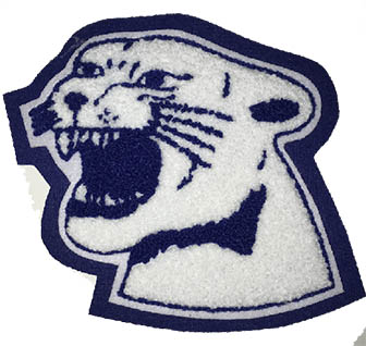 Cougar 1 Mascot