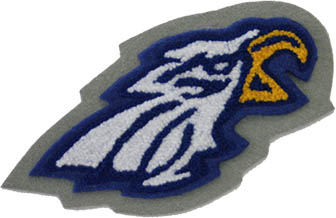 Eagle Mascot