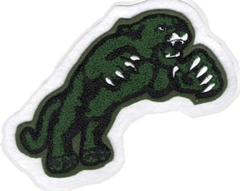 Panther Mascot