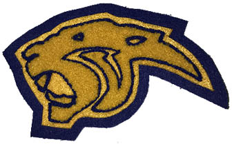 Panther Mascot