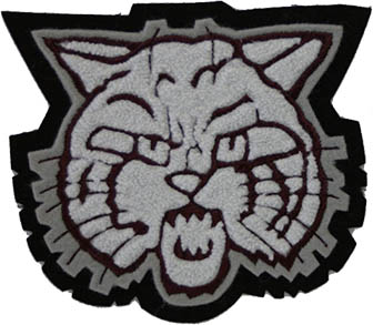 Wildcat Mascot