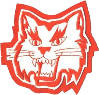 Wildcat Mascot