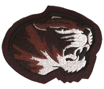 Tiger Mascot