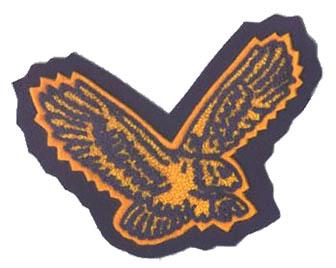 Eagle Mascot