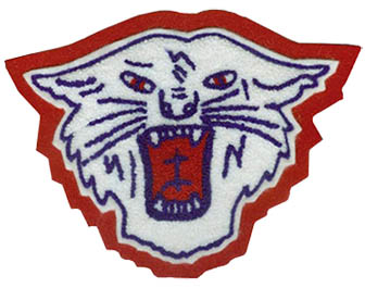 Wildcat 1 Mascot
