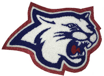 Wildcat 2 Mascot