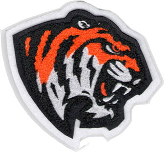 Tiger Mascot