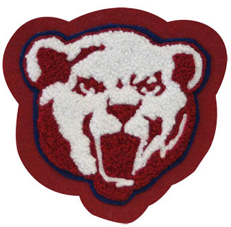 Bruin Bear Mascot