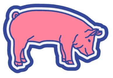 Pig